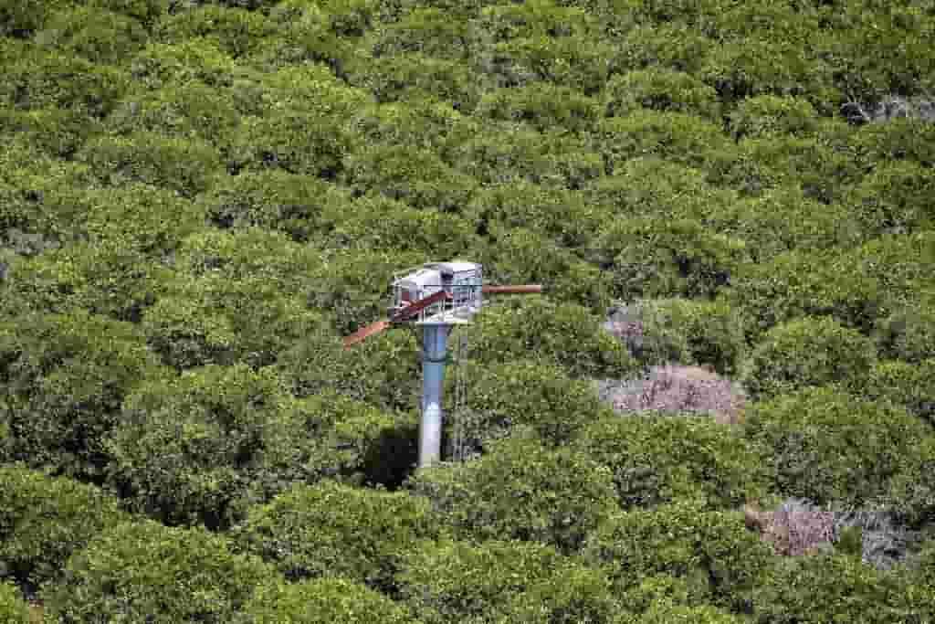 Citrus Tree Farms Tree Farming Information